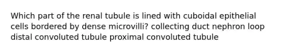 Which part of the renal tubule is lined with cuboidal epithelial cells bordered by dense microvilli? collecting duct nephron loop distal convoluted tubule proximal convoluted tubule