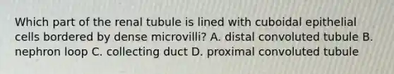 Which part of the renal tubule is lined with cuboidal epithelial cells bordered by dense microvilli? A. distal convoluted tubule B. nephron loop C. collecting duct D. proximal convoluted tubule