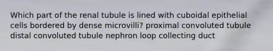 Which part of the renal tubule is lined with cuboidal epithelial cells bordered by dense microvilli? proximal convoluted tubule distal convoluted tubule nephron loop collecting duct