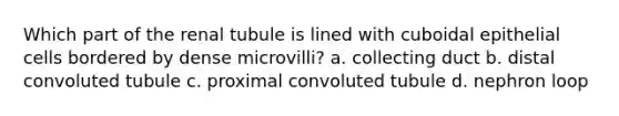 Which part of the renal tubule is lined with cuboidal epithelial cells bordered by dense microvilli? a. collecting duct b. distal convoluted tubule c. proximal convoluted tubule d. nephron loop