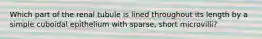 Which part of the renal tubule is lined throughout its length by a simple cuboidal epithelium with sparse, short microvilli?