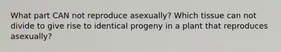 What part CAN not reproduce asexually? Which tissue can not divide to give rise to identical progeny in a plant that reproduces asexually?