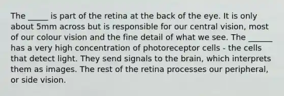 The _____ is part of the retina at the back of the eye. It is only about 5mm across but is responsible for our central vision, most of our colour vision and the fine detail of what we see. The ______ has a very high concentration of photoreceptor cells - the cells that detect light. They send signals to the brain, which interprets them as images. The rest of the retina processes our peripheral, or side vision.