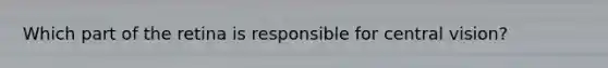 Which part of the retina is responsible for central vision?