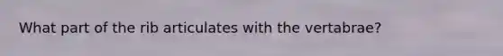 What part of the rib articulates with the vertabrae?