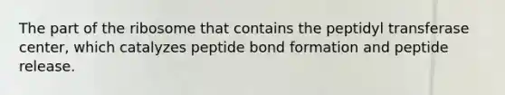 The part of the ribosome that contains the peptidyl transferase center, which catalyzes peptide bond formation and peptide release.