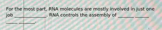 For the most part, RNA molecules are mostly involved in just one job ______________. RNA controls the assembly of _______ ______ _____ _______.