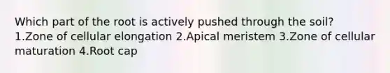 Which part of the root is actively pushed through the soil? 1.Zone of cellular elongation 2.Apical meristem 3.Zone of cellular maturation 4.Root cap