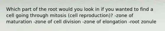 Which part of the root would you look in if you wanted to find a cell going through mitosis (cell reproduction)? -zone of maturation -zone of cell division -zone of elongation -root zonule