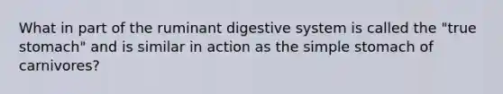 What in part of the ruminant digestive system is called the "true stomach" and is similar in action as the simple stomach of carnivores?