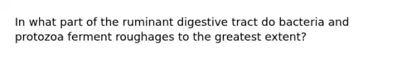 In what part of the ruminant digestive tract do bacteria and protozoa ferment roughages to the greatest extent?