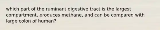 which part of the ruminant digestive tract is the largest compartment, produces methane, and can be compared with large colon of human?