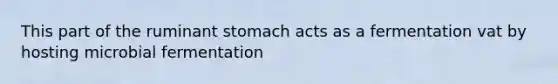 This part of the ruminant stomach acts as a fermentation vat by hosting microbial fermentation