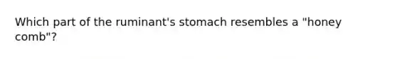 Which part of the ruminant's stomach resembles a "honey comb"?