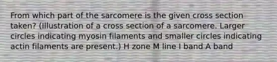 From which part of the sarcomere is the given cross section taken? (Illustration of a cross section of a sarcomere. Larger circles indicating myosin filaments and smaller circles indicating actin filaments are present.) H zone M line I band A band