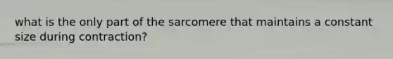 what is the only part of the sarcomere that maintains a constant size during contraction?