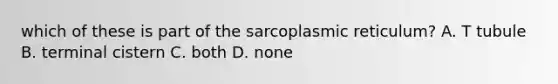 which of these is part of the sarcoplasmic reticulum? A. T tubule B. terminal cistern C. both D. none