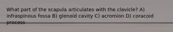 What part of the scapula articulates with the clavicle? A) infraspinous fossa B) glenoid cavity C) acromion D) coracoid process