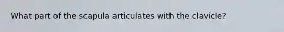 What part of the scapula articulates with the clavicle?