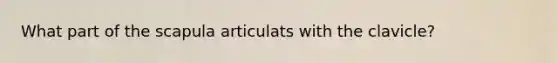 What part of the scapula articulats with the clavicle?