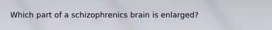 Which part of a schizophrenics brain is enlarged?