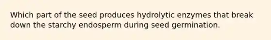 Which part of the seed produces hydrolytic enzymes that break down the starchy endosperm during seed germination.