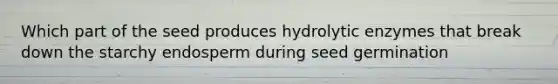 Which part of the seed produces hydrolytic enzymes that break down the starchy endosperm during seed germination