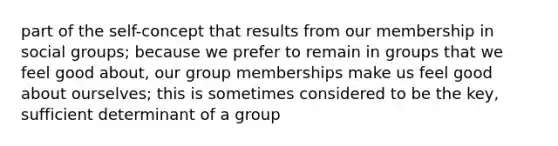 part of the self-concept that results from our membership in social groups; because we prefer to remain in groups that we feel good about, our group memberships make us feel good about ourselves; this is sometimes considered to be the key, sufficient determinant of a group