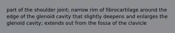 part of the shoulder joint; narrow rim of fibrocartilage around the edge of the glenoid cavity that slightly deepens and enlarges the glenoid cavity; extends out from the fossa of the clavicle