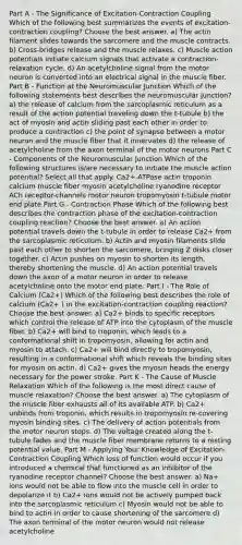 Part A - The Significance of Excitation-Contraction Coupling Which of the following best summarizes the events of excitation-contraction coupling? Choose the best answer. a) The actin filament slides towards the sarcomere and the muscle contracts. b) Cross-bridges release and the muscle relaxes. c) Muscle action potentials initiate calcium signals that activate a contraction-relaxation cycle. d) An acetylcholine signal from the motor neuron is converted into an electrical signal in the muscle fiber. Part B - Function at the Neuromuscular Junction Which of the following statements best describes the neuromuscular junction? a) the release of calcium from the sarcoplasmic reticulum as a result of the action potential traveling down the t-tubule b) the act of myosin and actin sliding past each other in order to produce a contraction c) the point of synapse between a motor neuron and the muscle fiber that it innervates d) the release of acetylcholine from the axon terminal of the motor neurons Part C - Components of the Neuromuscular Junction Which of the following structures is/are necessary to initiate the muscle action potential? Select all that apply. Ca2+-ATPase actin troponin calcium muscle fiber myosin acetylcholine ryanodine receptor ACh receptor-channels motor neuron tropomyosin t-tubule motor end plate Part G - Contraction Phase Which of the following best describes the contraction phase of the excitation-contraction coupling reaction? Choose the best answer. a) An action potential travels down the t-tubule in order to release Ca2+ from the sarcoplasmic reticulum. b) Actin and myosin filaments slide past each other to shorten the sarcomere, bringing Z disks closer together. c) Actin pushes on myosin to shorten its length, thereby shortening the muscle. d) An action potential travels down the axon of a motor neuron in order to release acetylcholine onto the motor end plate. Part I - The Role of Calcium (Ca2+) Which of the following best describes the role of calcium (Ca2+ ) in the excitation-contraction coupling reaction? Choose the best answer. a) Ca2+ binds to specific receptors which control the release of ATP into the cytoplasm of the muscle fiber. b) Ca2+ will bind to troponin, which leads to a conformational shift in tropomyosin, allowing for actin and myosin to attach. c) Ca2+ will bind directly to tropomyosin, resulting in a conformational shift which reveals the binding sites for myosin on actin. d) Ca2+ gives the myosin heads the energy necessary for the power stroke. Part K - The Cause of Muscle Relaxation Which of the following is the most direct cause of muscle relaxation? Choose the best answer. a) The cytoplasm of the muscle fiber exhausts all of its available ATP. b) Ca2+ unbinds from troponin, which results in tropomyosin re-covering myosin binding sites. c) The delivery of action potentials from the motor neuron stops. d) The voltage created along the t-tubule fades and the muscle fiber membrane returns to a resting potential value. Part M - Applying Your Knowledge of Excitation-Contraction Coupling Which loss of function would occur if you introduced a chemical that functioned as an inhibitor of the ryanodine receptor channel? Choose the best answer. a) Na+ ions would not be able to flow into the muscle cell in order to depolarize it b) Ca2+ ions would not be actively pumped back into the sarcoplasmic reticulum c) Myosin would not be able to bind to actin in order to cause shortening of the sarcomere d) The axon terminal of the motor neuron would not release acetylcholine