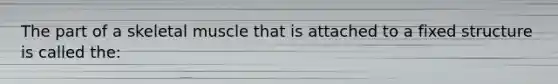 The part of a skeletal muscle that is attached to a fixed structure is called the: