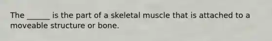 The ______ is the part of a skeletal muscle that is attached to a moveable structure or bone.