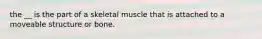 the __ is the part of a skeletal muscle that is attached to a moveable structure or bone.