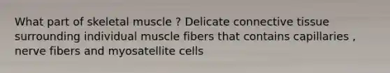 What part of skeletal muscle ? Delicate connective tissue surrounding individual muscle fibers that contains capillaries , nerve fibers and myosatellite cells