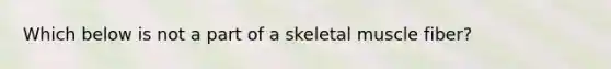 Which below is not a part of a skeletal muscle fiber?