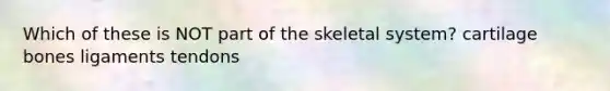 Which of these is NOT part of the skeletal system? cartilage bones ligaments tendons