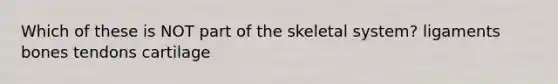 Which of these is NOT part of the skeletal system? ligaments bones tendons cartilage