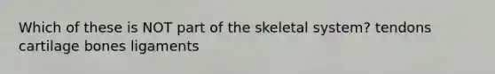 Which of these is NOT part of the skeletal system? tendons cartilage bones ligaments