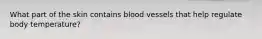 What part of the skin contains blood vessels that help regulate body temperature?