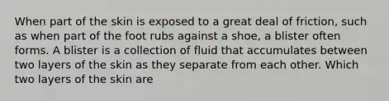 When part of the skin is exposed to a great deal of friction, such as when part of the foot rubs against a shoe, a blister often forms. A blister is a collection of fluid that accumulates between two layers of the skin as they separate from each other. Which two layers of the skin are