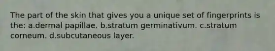 The part of the skin that gives you a unique set of fingerprints is the: a.dermal papillae. b.stratum germinativum. c.stratum corneum. d.subcutaneous layer.