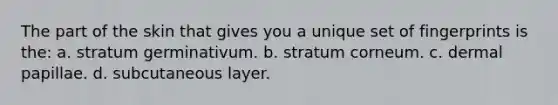 The part of the skin that gives you a unique set of fingerprints is the: a. stratum germinativum. b. stratum corneum. c. dermal papillae. d. subcutaneous layer.