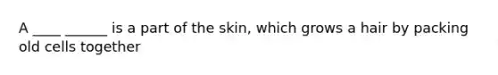 A ____ ______ is a part of the skin, which grows a hair by packing old cells together