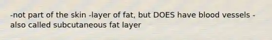 -not part of the skin -layer of fat, but DOES have blood vessels -also called subcutaneous fat layer