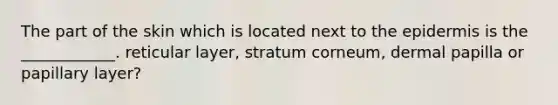 The part of the skin which is located next to the epidermis is the ____________. reticular layer, stratum corneum, dermal papilla or papillary layer?