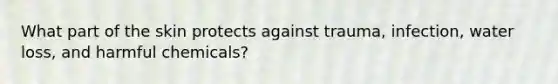 What part of the skin protects against trauma, infection, water loss, and harmful chemicals?