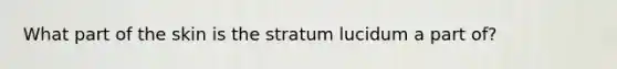 What part of the skin is the stratum lucidum a part of?