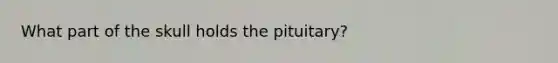 What part of the skull holds the pituitary?