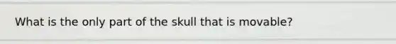 What is the only part of the skull that is movable?