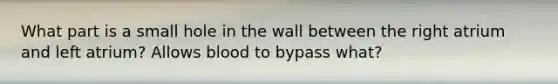 What part is a small hole in the wall between the right atrium and left atrium? Allows blood to bypass what?